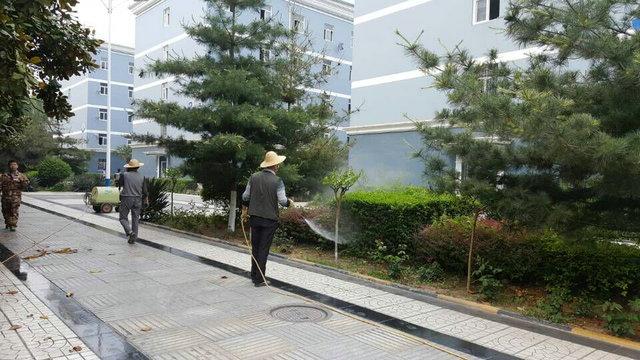 我院花草树木喷洒农药中(图1)