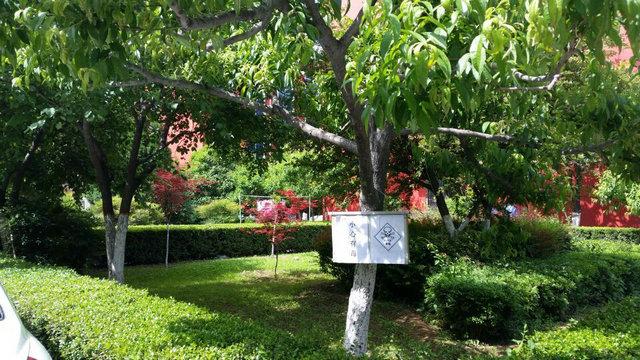 我院花草树木喷洒农药中(图2)