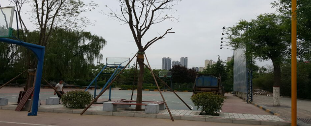 美化校园化境，共建美好家园(图2)