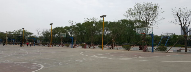 美化校园化境，共建美好家园(图4)